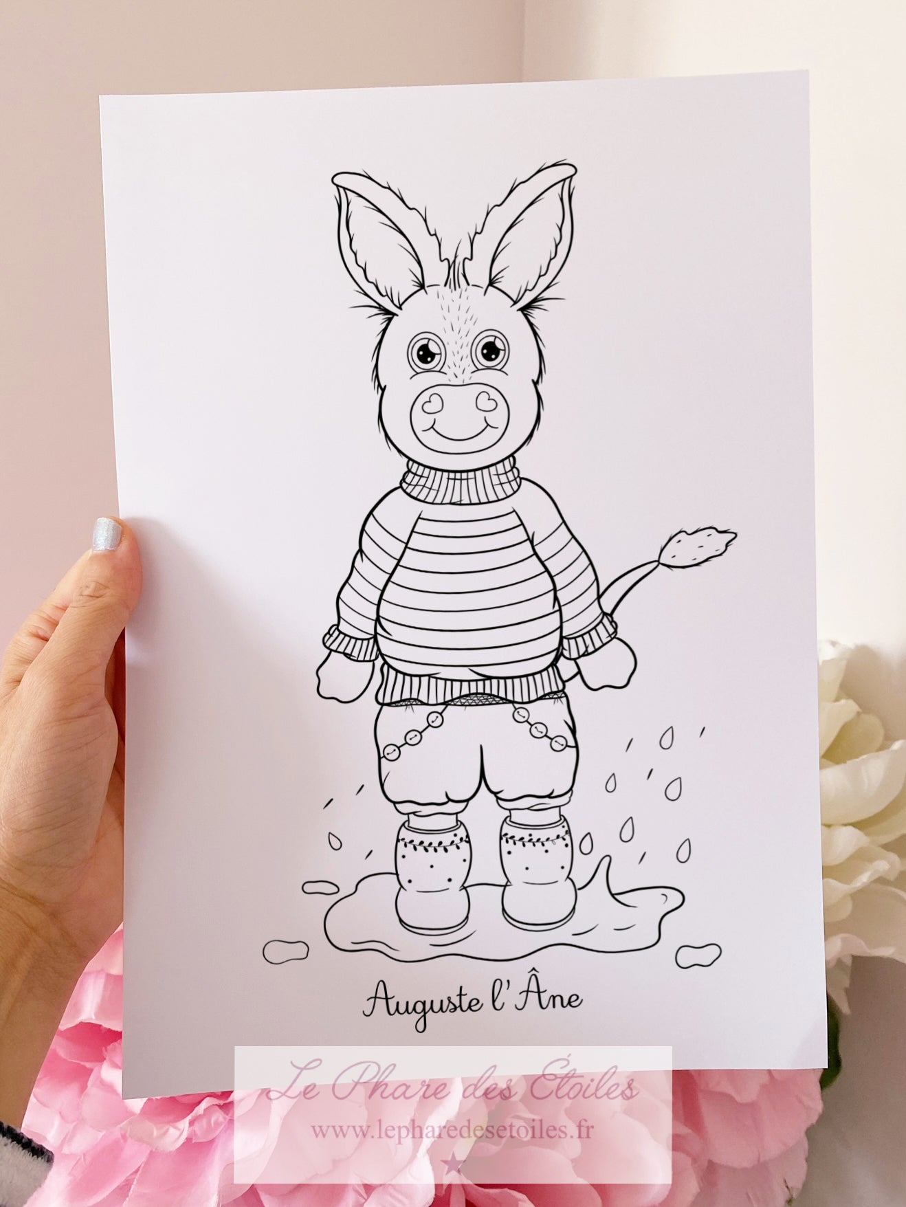 11 Illustrations à Colorier et Encadrer | Volume 2