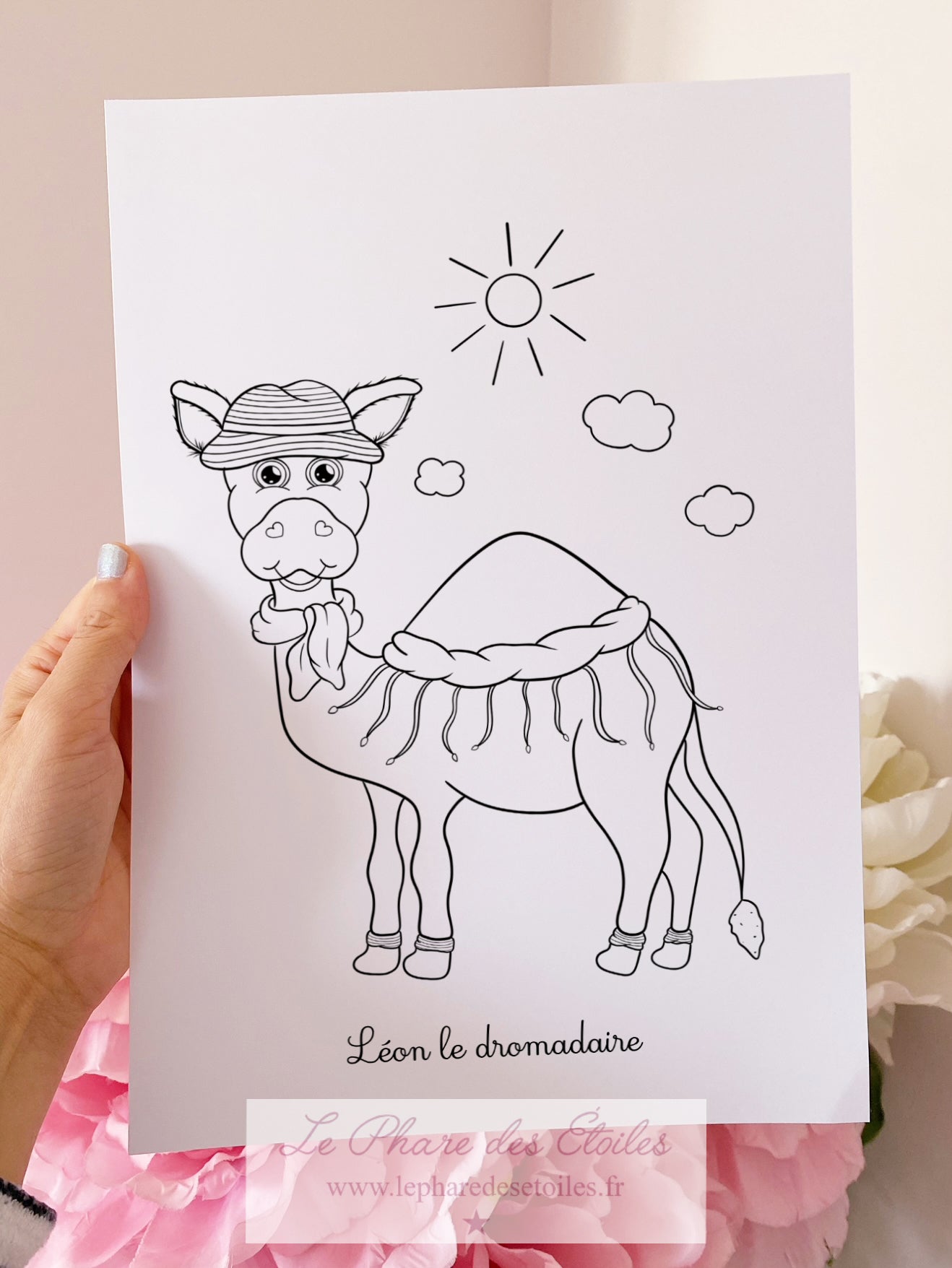 11 Illustrations à Colorier et Encadrer | Volume 2