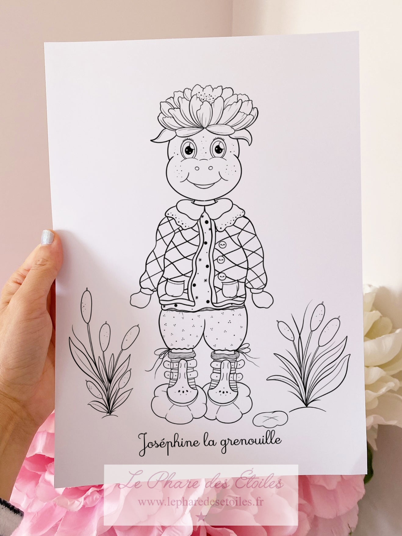 11 Illustrations à Colorier et Encadrer | Volume 2