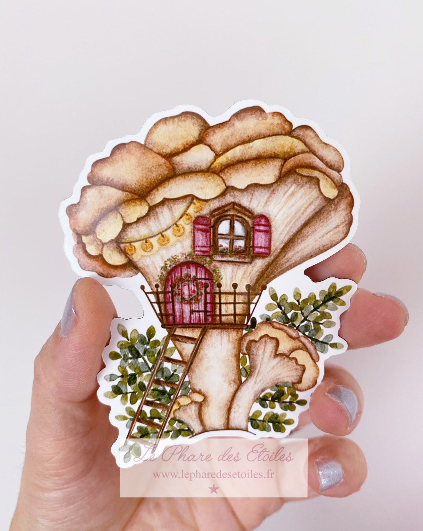 Girolle | Magnet Illustrée