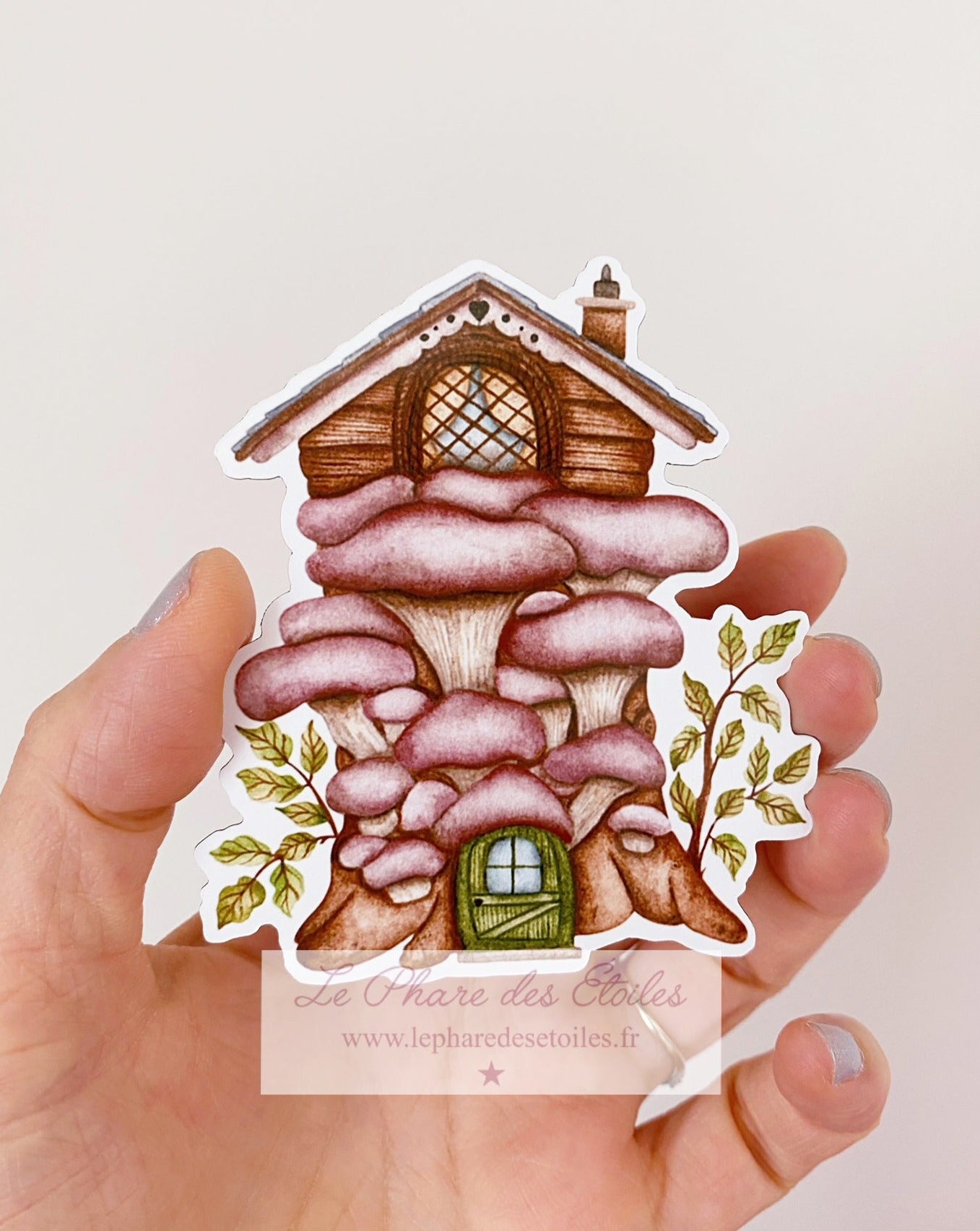 Oreille de Noyer | Magnet Illustré