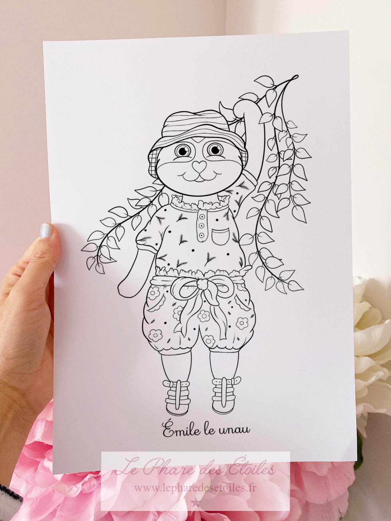 11 Illustrations à Colorier et Encadrer | Volume 2