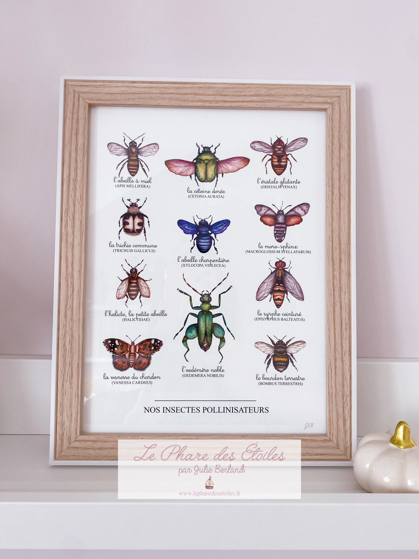 Nos Insectes | Cadre + Affiche -20%