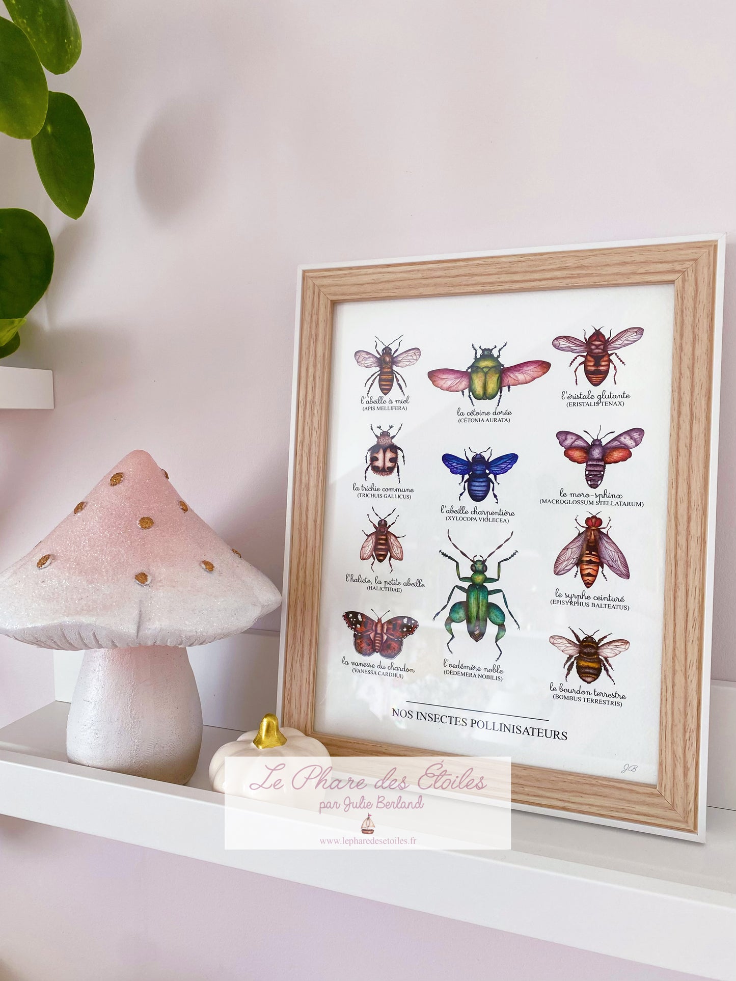 Nos Insectes | Cadre + Affiche -20%