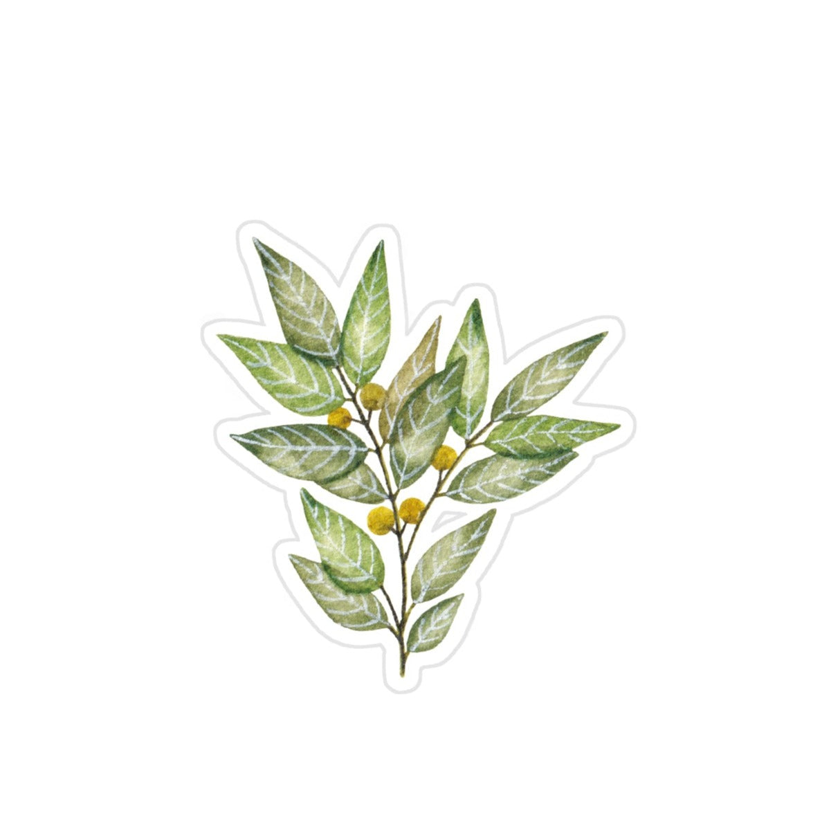 Laurier | Sticker Étoilé