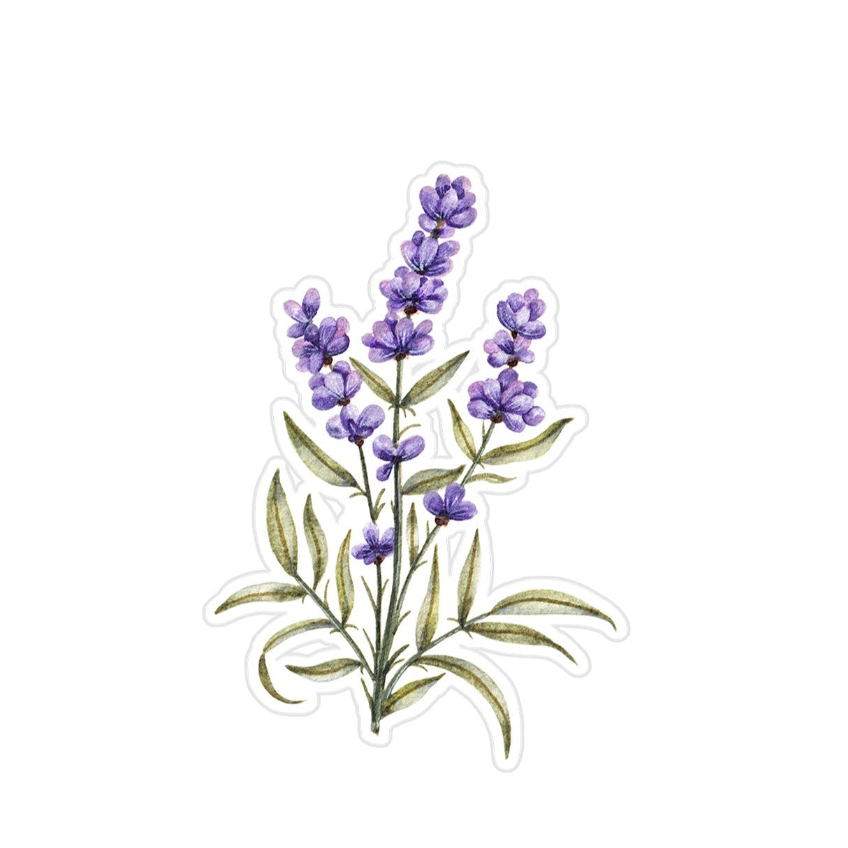 Lavande | Sticker Étoilé