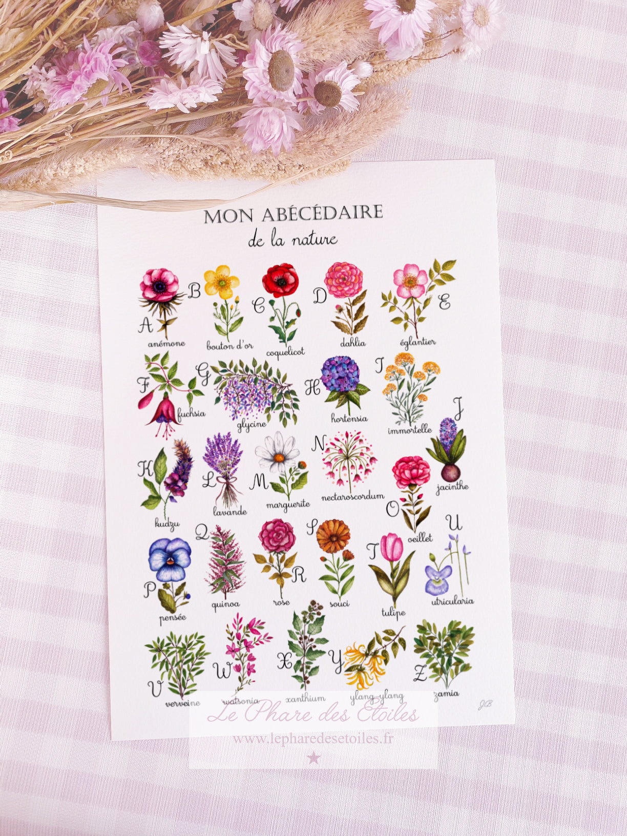 Affiche illustrée à l'aquarelle sur le thème des fleurs sous forme d'abécédaire. Illustration à encadrer. Décoration intérieure et chambre pour enfants.