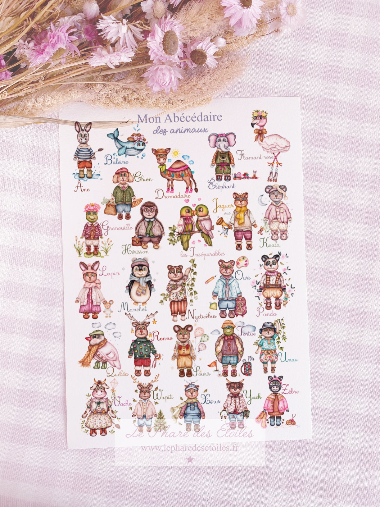 Mon Abécédaire des Animaux | Affiche -20%