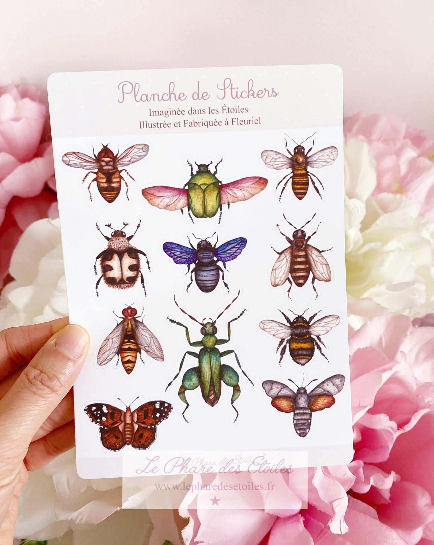 Nos Insectes | Planche de 11 Stickers