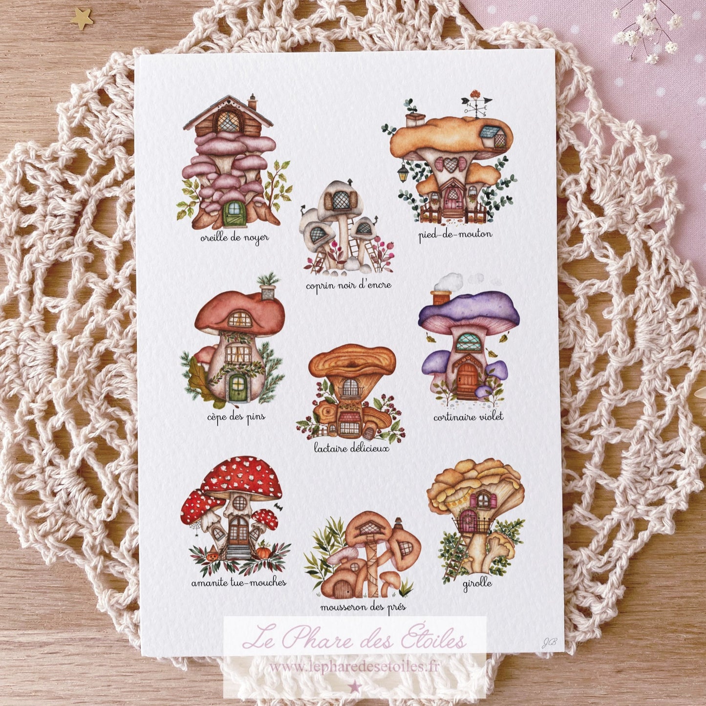 Les Champignons | Carte Illustrée
