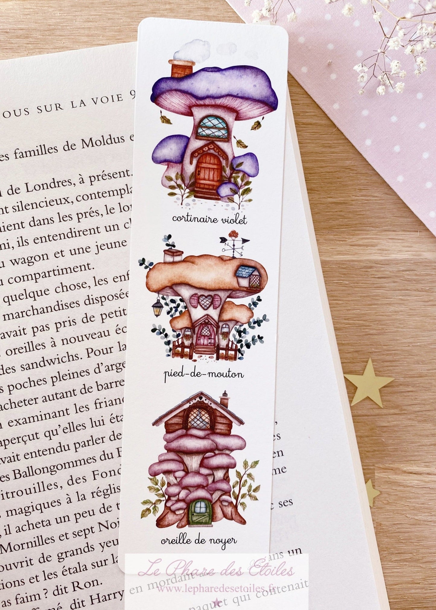 Les Champignons (cortinaire…) | Marque-Page -10%