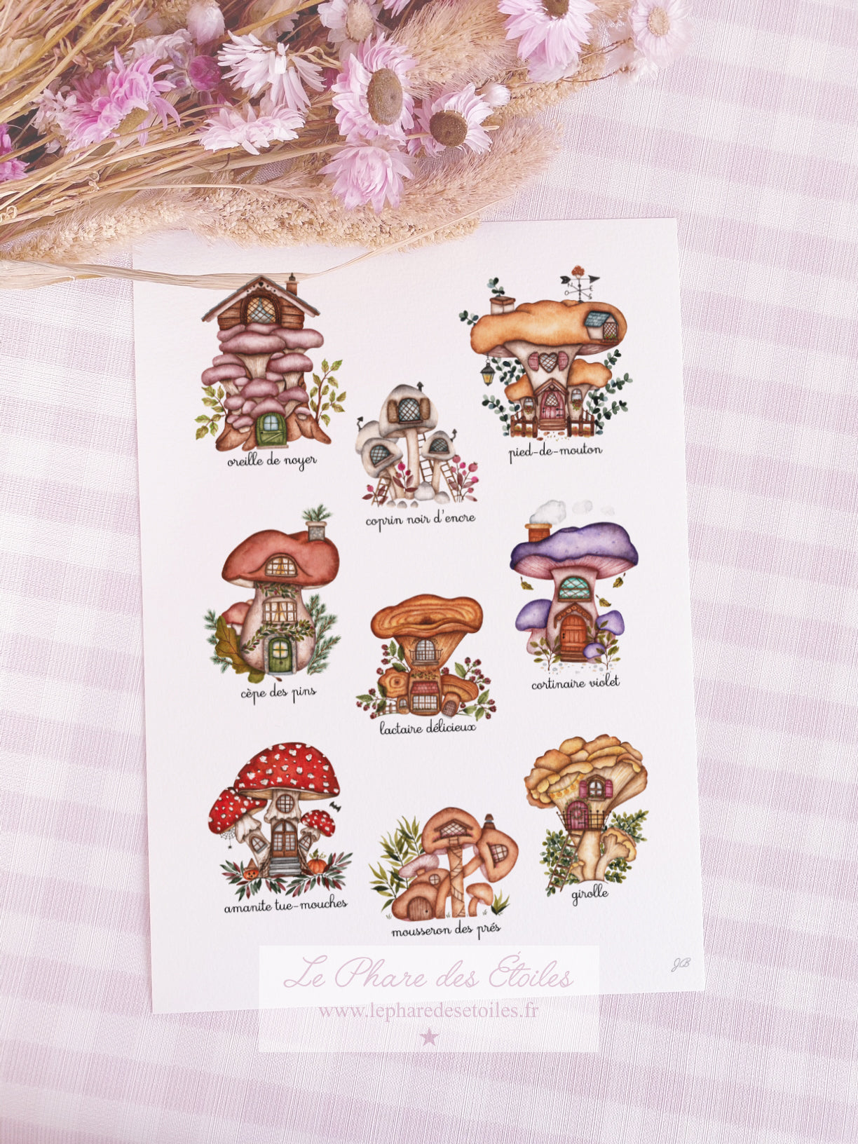 Les Champignons | Affiche