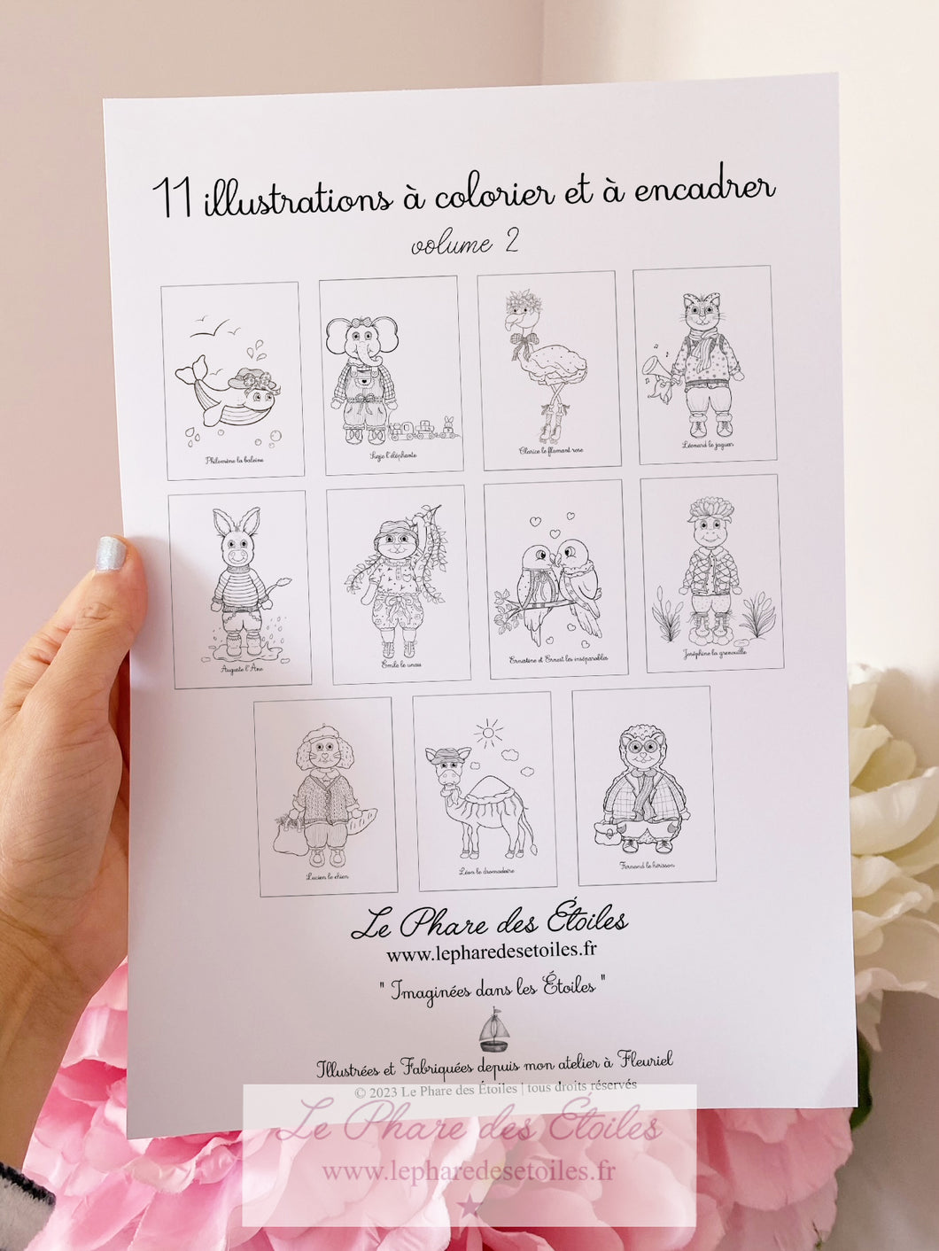 11 Illustrations à Colorier et Encadrer | Volume 2