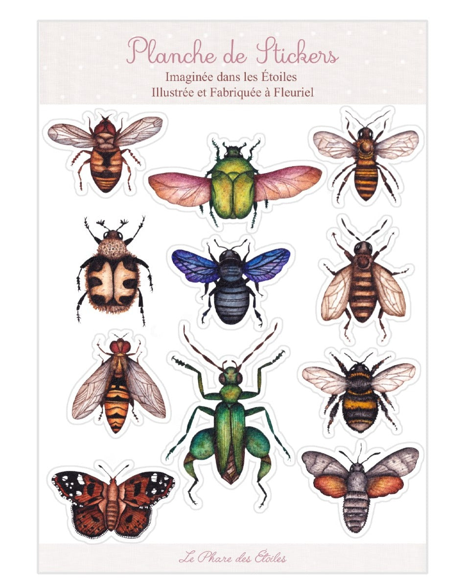 Nos Insectes | Planche de 11 Stickers