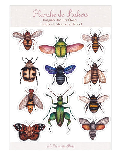 Nos Insectes | Planche de 11 Stickers