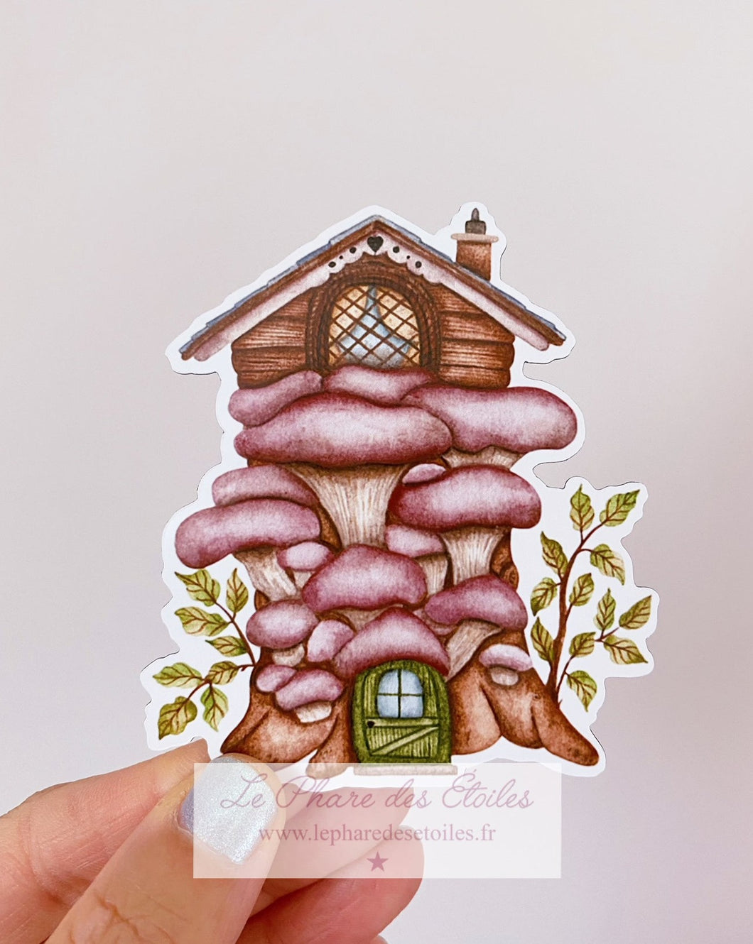 Oreille de Noyer | Magnet Illustré