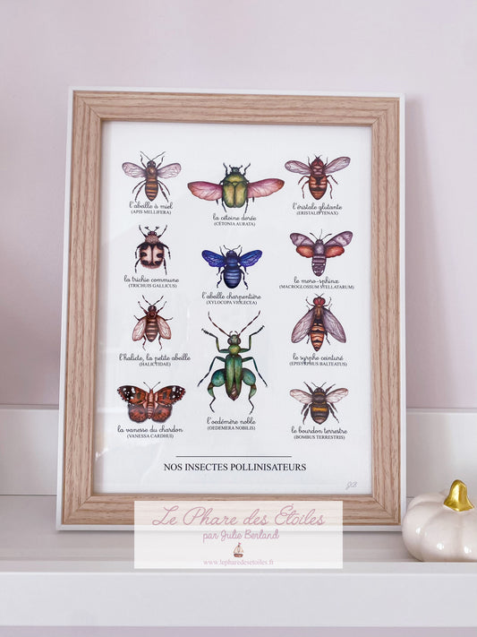 Nos Insectes | Cadre + Affiche -20%