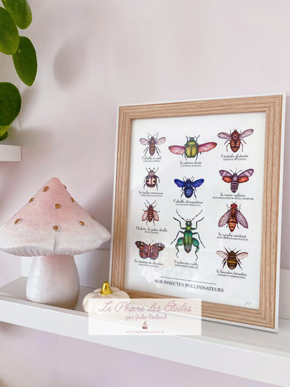 Nos Insectes | Cadre + Affiche -20%