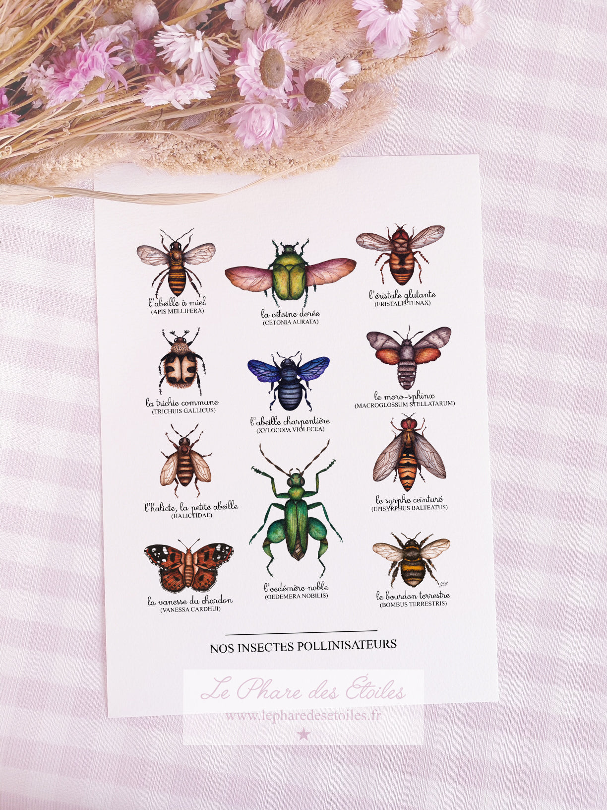 Affiche illustrée à l'aquarelle sur le thème du printemps et des insectes pollinisateurs. Illustration à encadrer. Décoration intérieure et chambre pour enfants.