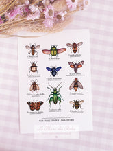Charger l&#39;image dans la galerie, Affiche illustrée à l&#39;aquarelle sur le thème du printemps et des insectes pollinisateurs. Illustration à encadrer. Décoration intérieure et chambre pour enfants.
