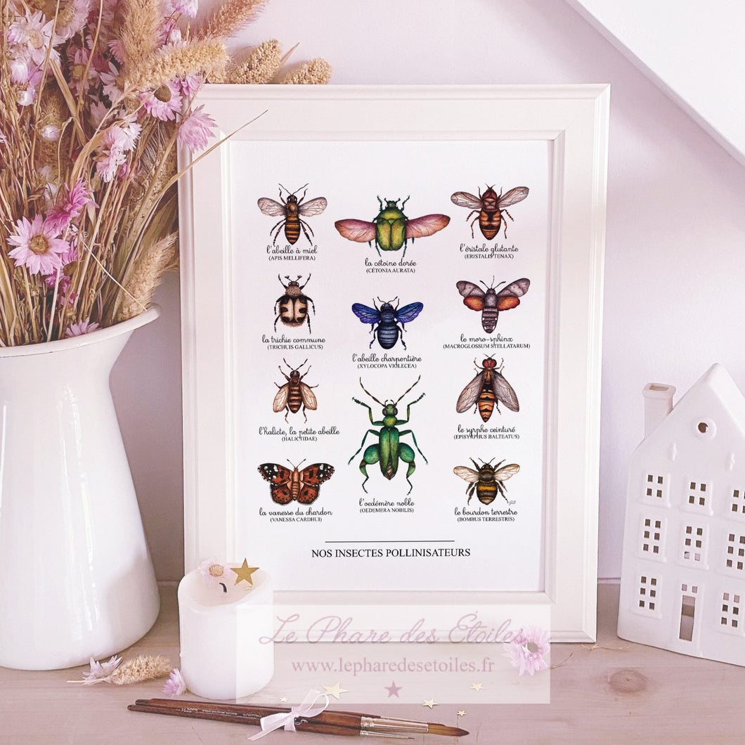 Affiche illustrée à l'aquarelle sur le thème du printemps et des insectes pollinisateurs. Illustration à encadrer. Décoration intérieure et chambre pour enfants.