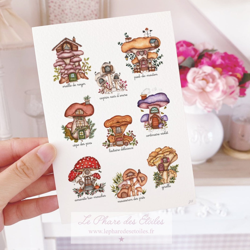 Les Champignons | Carte Illustrée