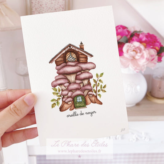 Oreille de Noyer  | Carte Illustrée