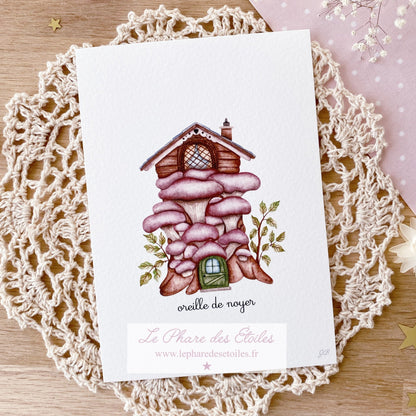 Oreille de Noyer  | Carte Illustrée