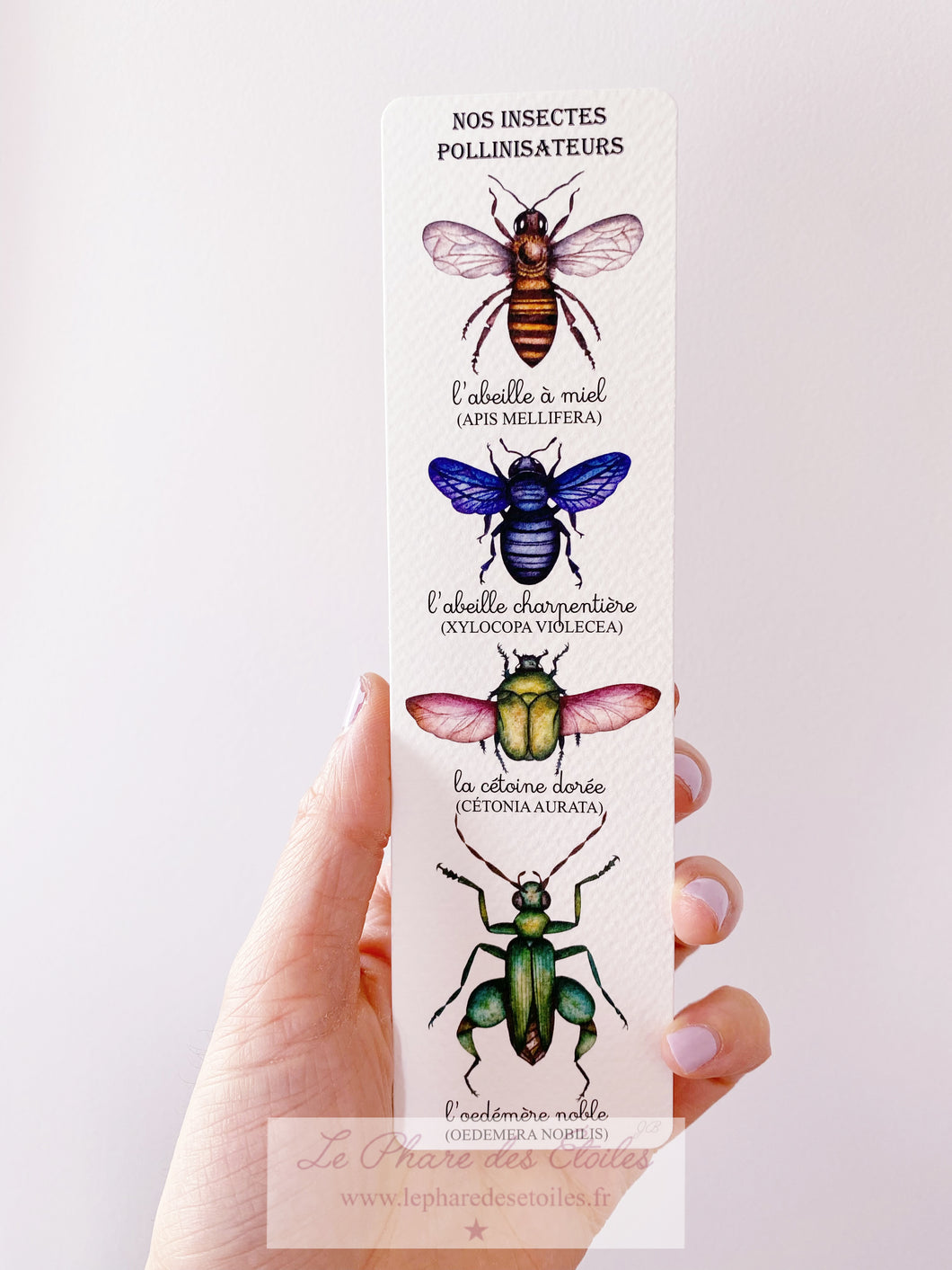 Nos Insectes Pollinisateurs  |  Marque-Pages