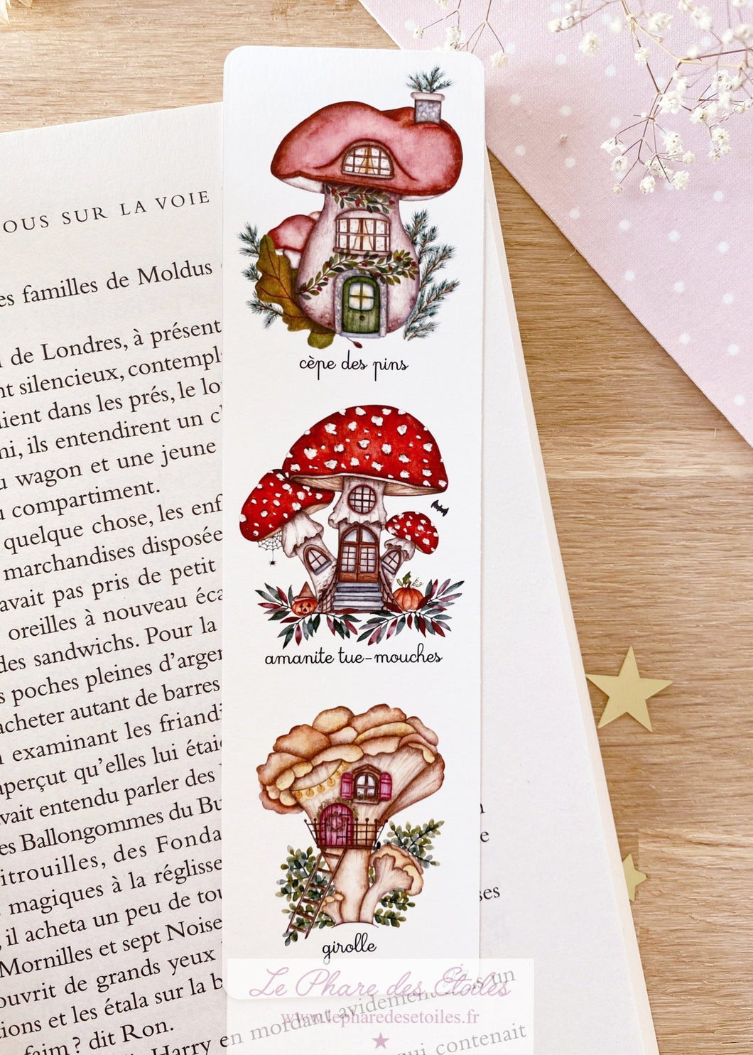 Les Champignons (amanite ...) | Marque-Pages