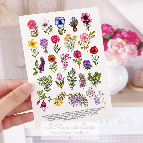 Carte illustrée à l'aquarelle sur le thème du printemps, des fleurs et de la botanique. Format A6 carte postale. Enveloppe offerte sur simple demande.