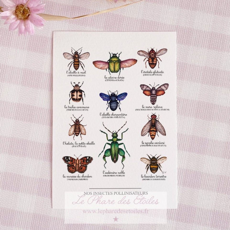 Carte illustrée à l'aquarelle sur le thème du printemps et des insectes pollinisateurs. Format A6 carte postale. Enveloppe offerte sur simple demande.