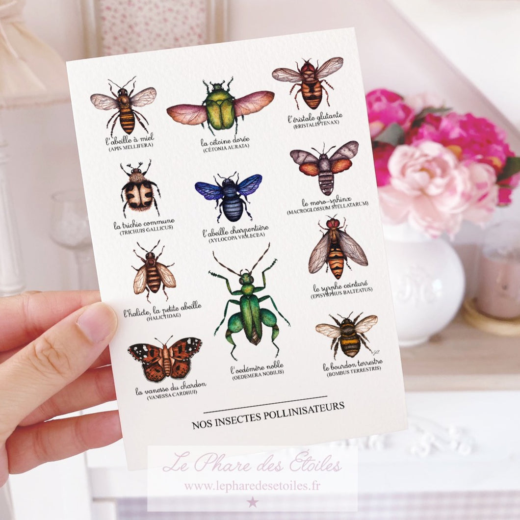 Carte illustrée à l'aquarelle sur le thème du printemps et des insectes pollinisateurs. Format A6 carte postale. Enveloppe offerte sur simple demande.